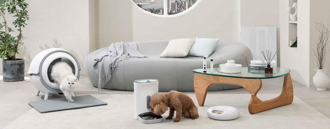 a dog a cat  and pet feeder  in a room