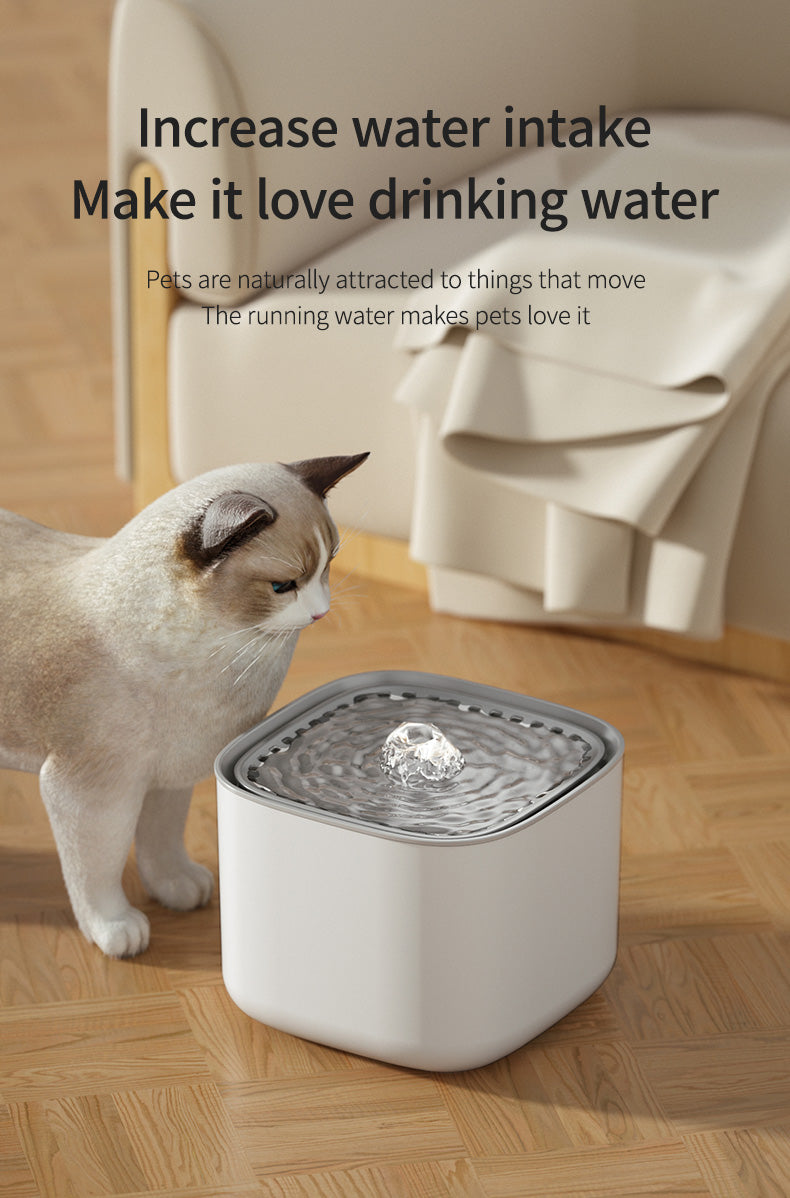 CW Pet Water Dispenser Cats Dogs Automatic Fountain publicity pictures-4