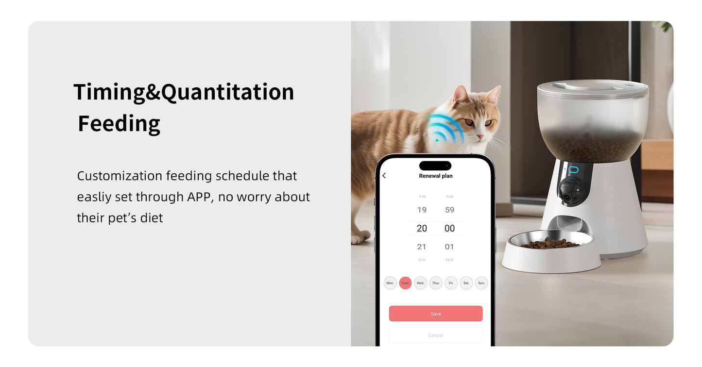 petwant automatic cat feeder 1080p camera smart pet feeder publicity picture-10